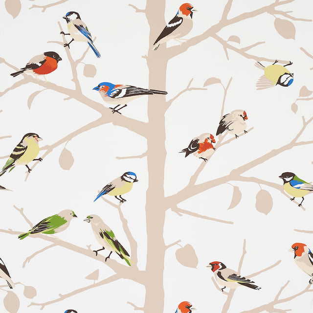 A-TWITTER Summer wallpaper by Schumacher featuring colorful songbirds perched on silhouetted tree branches.