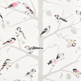 A-TWITTER wallpaper in blush by Schumacher featuring whimsical birds perched on branches in a modern nature-inspired design.