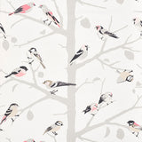 A-TWITTER Blush by Schumacher Modern Nature Collection Wallpaper – Schumacher 5005032SAM