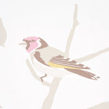 A-TWITTER Soft Multi by Schumacher Whimsical Bird Wallpaper – Schumacher 5005033SAM
