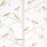 A-TWITTER wallpaper in Soft Multi by Schumacher featuring colorful birds perched on neutral tree branches, shown in a bright, airy room setting.