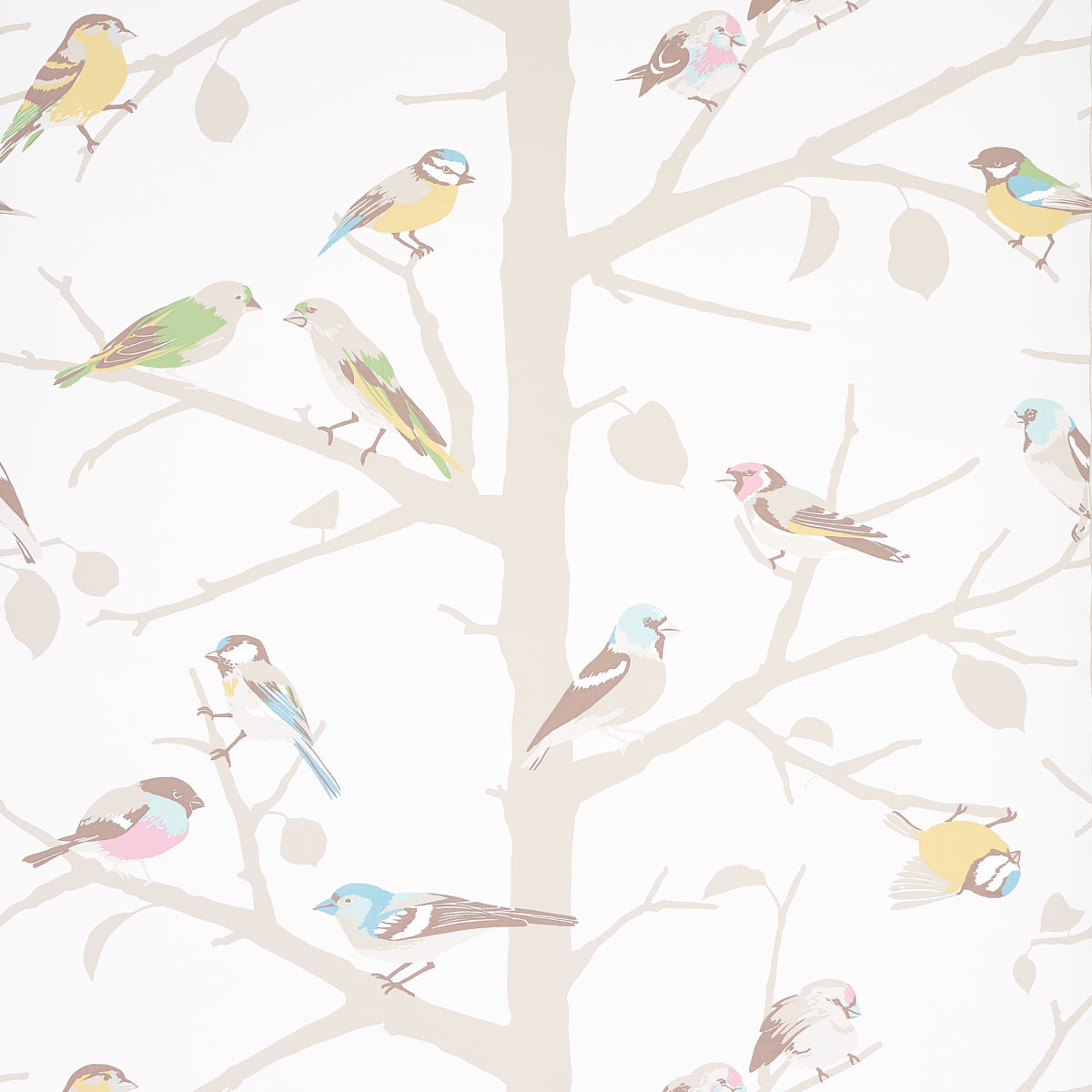 A-TWITTER Soft Multi by Schumacher Whimsical Bird Wallpaper – Schumacher 5005033SAM