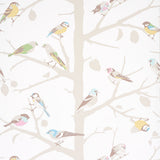 A-TWITTER Soft Multi by Schumacher Whimsical Bird Wallpaper – Schumacher 5005033SAM