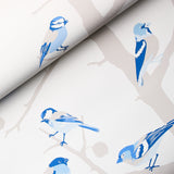 A-TWITTER Blues by Schumacher Whimsical Blue Bird Wallpaper – Schumacher 5005034