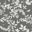 Shadow Vine Charcoal botanical wallpaper by Schumacher featuring white silhouettes of vines, leaves, and butterflies on a charcoal background.