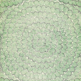Feather Bloom Sisal wallpaper in Emerald & Ore by Celerie Kemble for Schumacher, featuring overscale radiating blossoms on a natural sisal ground.