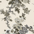 Charcoal floral chintz wallpaper with hand-screened botanical design by Schumacher, shown in elegant interior settings.