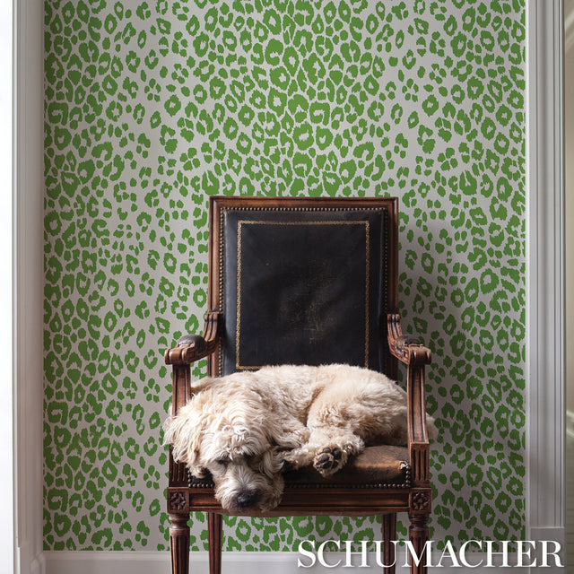 Iconic Leopard Green by Schumacher Animal Print Wallpaper – Schumacher 5007015