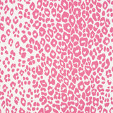 Iconic Leopard wallpaper in pink by Schumacher, featuring a bold animal print pattern in a vibrant pink and white colorway.