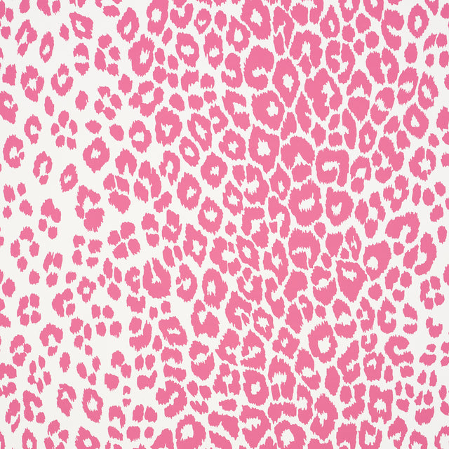 Iconic Leopard wallpaper in pink by Schumacher, featuring a bold animal print pattern in a vibrant pink and white colorway.