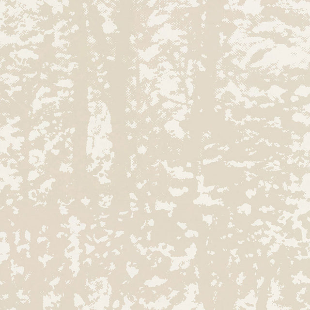 Woodland Alabaster wallpaper by Schumacher, an abstract forest-inspired wallcovering in neutral tones.