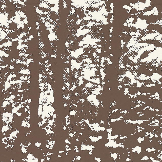 Woodland Bark wallpaper by Schumacher, an abstract wooded forest design in brown and white.