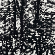 Woodland Night wallpaper by Schumacher, black and white abstract forest pattern