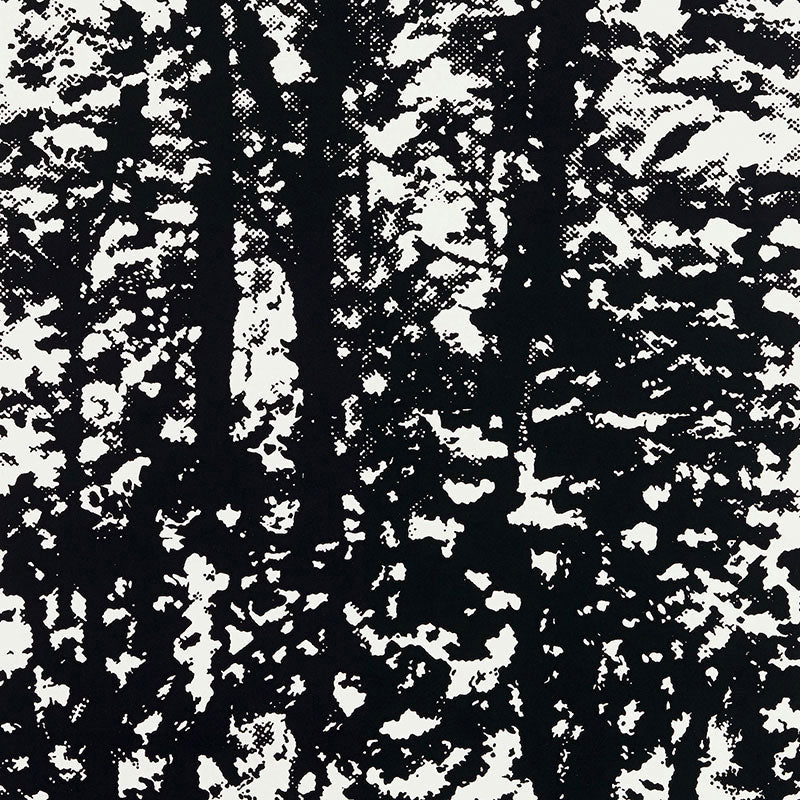 Woodland Night wallpaper by Schumacher, black and white abstract forest pattern