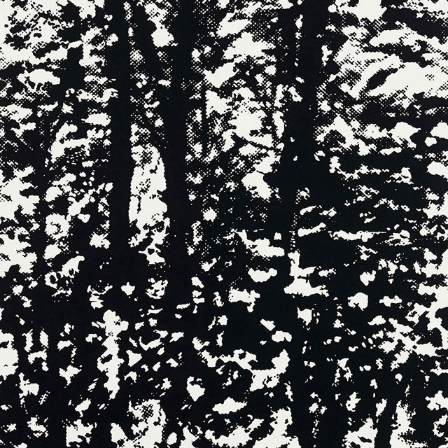 Woodland Night wallpaper by Schumacher, black and white abstract forest pattern