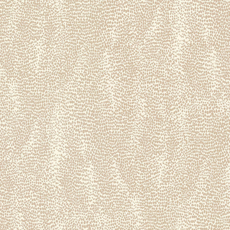 Drizzle Natural by Schumacher - Abstract dotted neutral wallpaper pattern
