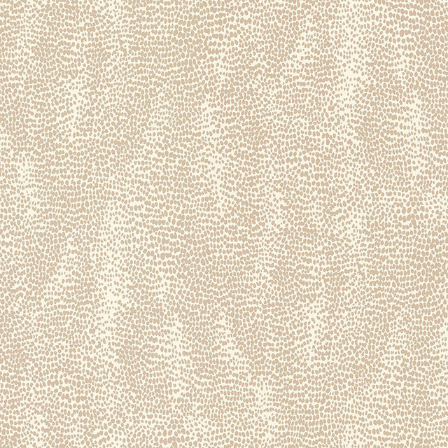 Drizzle Natural by Schumacher - Abstract dotted neutral wallpaper pattern