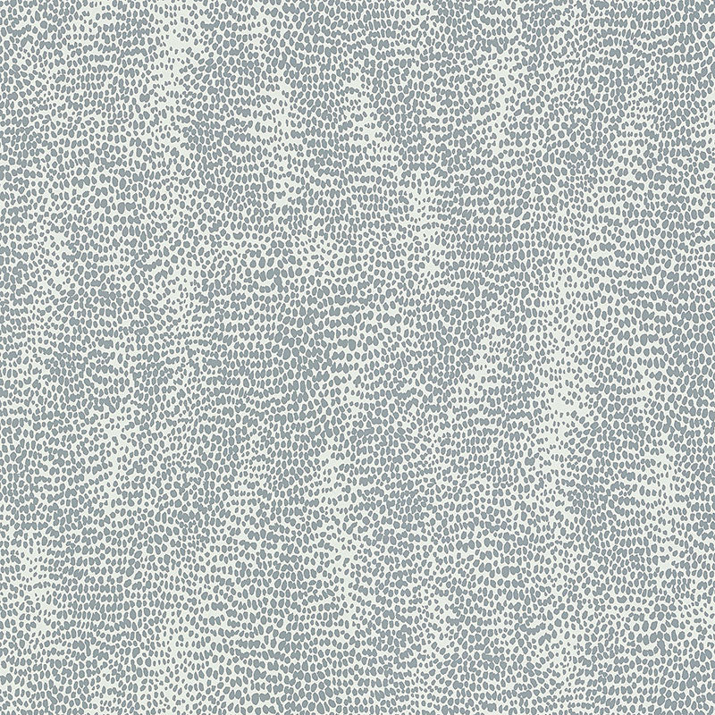 Drizzle Dove wallpaper by Schumacher, a subtle dotted pattern in soft grey and white, shown in detail and installed in a modern interior.