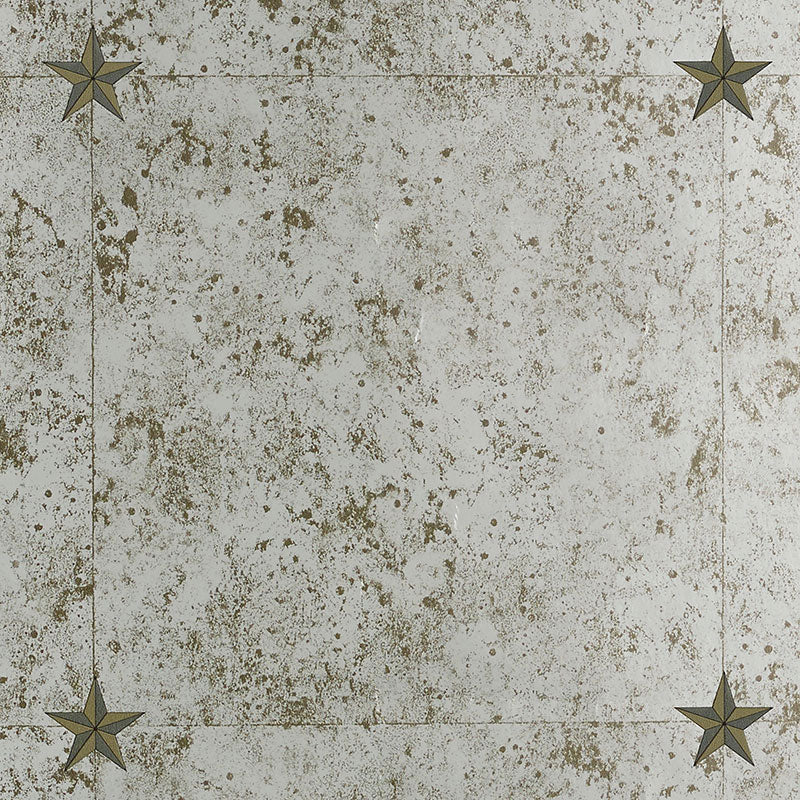 Glass Paneling Silver wallcovering by Schumacher, designed by Miles Redd, featuring a mirrored antique glass effect with star details.