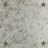 Glass Paneling Silver wallcovering by Schumacher, designed by Miles Redd, featuring a mirrored antique glass effect with star details.