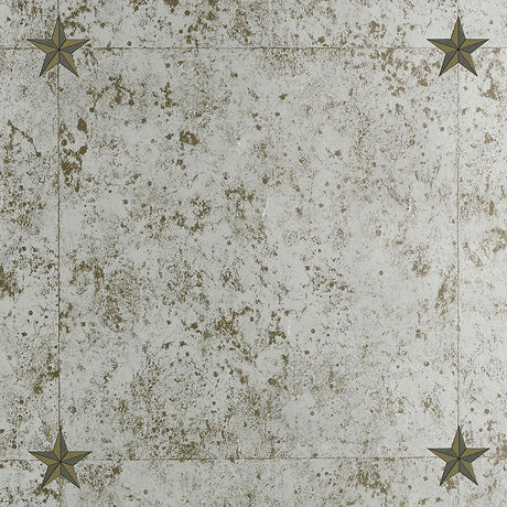 Glass Paneling Silver wallcovering by Schumacher, designed by Miles Redd, featuring a mirrored antique glass effect with star details.