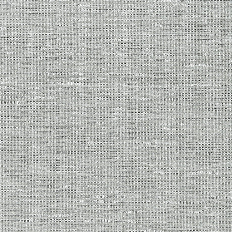 Anodized Raffia Platinum wallpaper with a thick-weave raffia texture and shimmered finish by Schumacher.