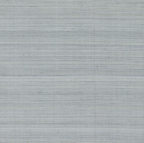 Shaded Silk Dove fabric wallcovering by Schumacher, featuring a lustrous, striated silk texture in a soft grey tone.