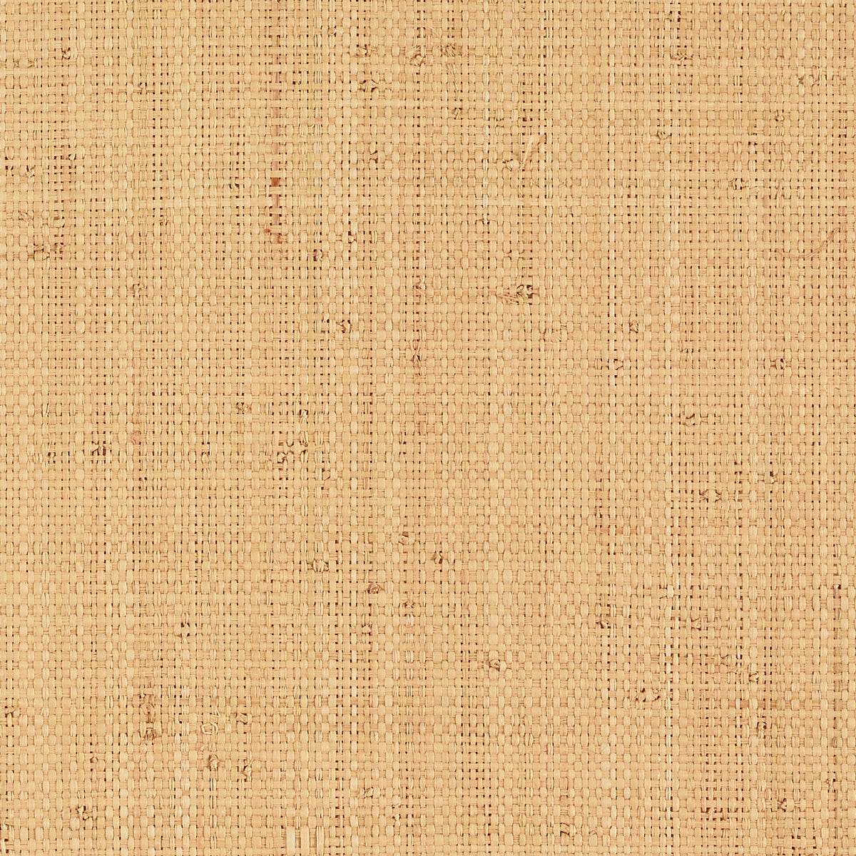 Nakara natural grasscloth wallcovering in a coarse and fine weave by Schumacher, shown in natural beige tones.