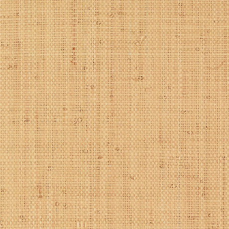 Nakara natural grasscloth wallcovering in a coarse and fine weave by Schumacher, shown in natural beige tones.