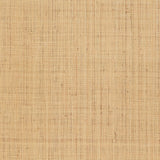 Nakara Fine natural grasscloth wallcovering in a fine weave, Schumacher Quiet Beauty Collection