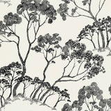 Black and white sketch-style tree wallpaper pattern from Schumacher's Drawn From Nature collection, named TIMBER !