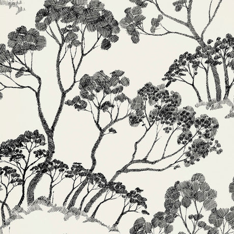 Black and white sketch-style tree wallpaper pattern from Schumacher's Drawn From Nature collection, named TIMBER !