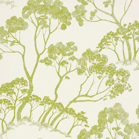 Green leafy tree sketch pattern wallpaper, Schumacher TIMBER! in Leaf colorway, nature-inspired wallcovering.