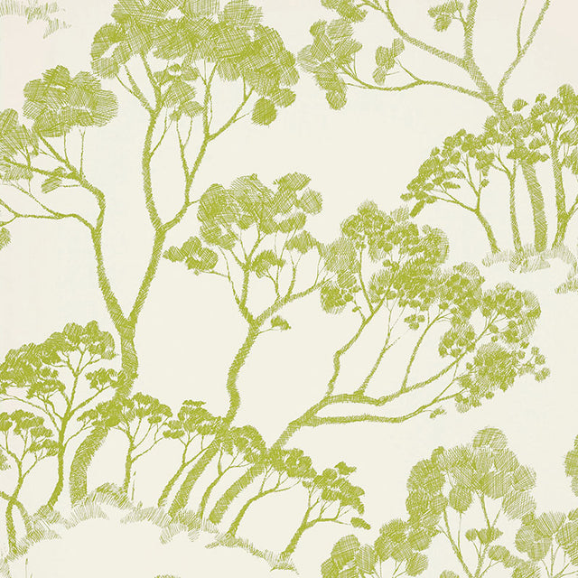 Green leafy tree sketch pattern wallpaper, Schumacher TIMBER! in Leaf colorway, nature-inspired wallcovering.