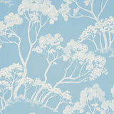 Timber! wallpaper in Cloud by Schumacher features a hand-drawn tree motif in a soft blue and white colorway, perfect for adding a natural, artistic touch to interiors.