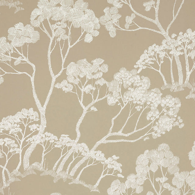 Timber! wallpaper in a natural colorway featuring a hand-drawn tree motif by Schumacher.