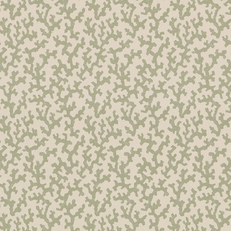 FOLLY Sage by Veere Grenney for Schumacher, coral-like allover pattern wallcovering in green on cream background