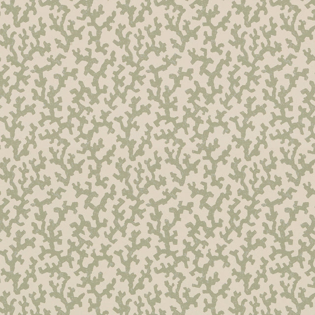 FOLLY Sage by Veere Grenney for Schumacher, coral-like allover pattern wallcovering in green on cream background