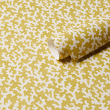FOLLY Mimosa by Veere Grenney Coral Pattern Wallpaper – Schumacher 5008007