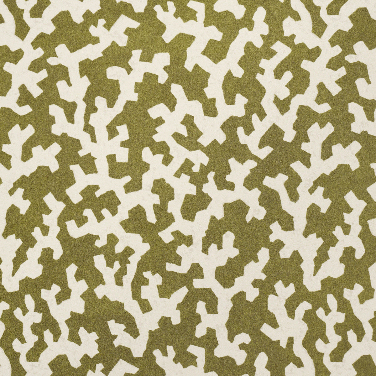 FOLLY Olive by Veere Grenney Designer Wallpaper – Schumacher 5008008