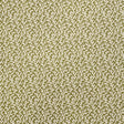 FOLLY Olive by Veere Grenney for Schumacher - allover coral-like pattern wallpaper in olive green and white, shown in a styled bathroom interior.