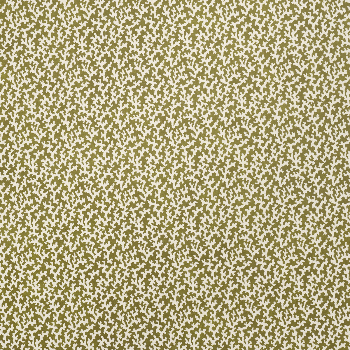 FOLLY Olive by Veere Grenney for Schumacher - allover coral-like pattern wallpaper in olive green and white, shown in a styled bathroom interior.
