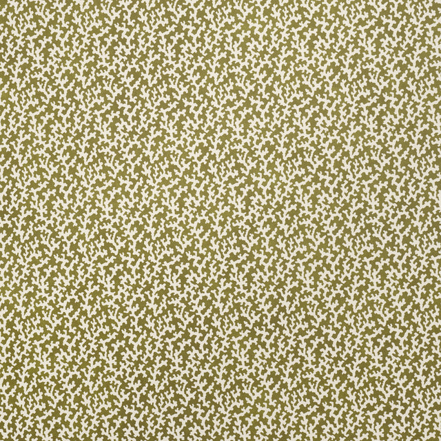 FOLLY Olive by Veere Grenney for Schumacher - allover coral-like pattern wallpaper in olive green and white, shown in a styled bathroom interior.