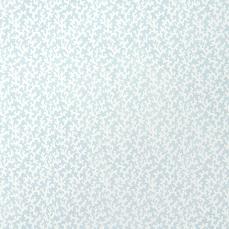 FOLLY Sky by Veere Grenney for Schumacher, coral-inspired blue and white wallpaper in a bathroom setting