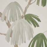 Weeping Pine Sage Botanical Wallpaper by David Kaihoi – Schumacher 5008332