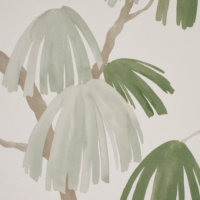 Weeping Pine Sage Botanical Wallpaper by David Kaihoi – Schumacher 5008332