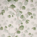 Weeping Pine wallpaper in sage by David Kaihoi for Schumacher, a lush botanical print with painterly pine branches in green and neutral tones.