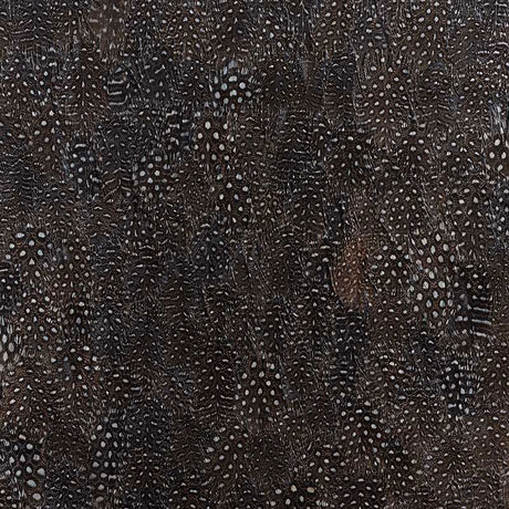 Titanium wallcovering panel in black and white with a graphic, textural feather design by Schumacher.
