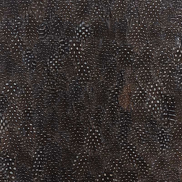 Titanium wallcovering panel in black and white with a graphic, textural feather design by Schumacher.