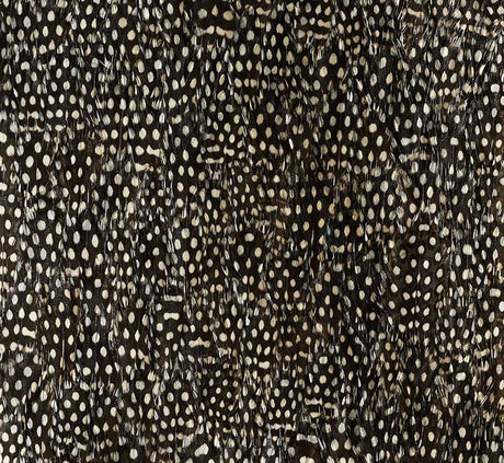 Zinc by Schumacher - Black & White hand-applied feather wallcovering panel